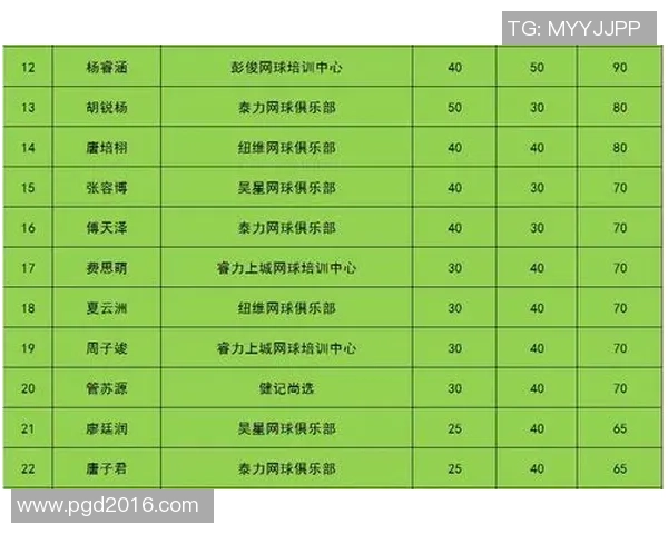 杭州网球队在全国锦标赛积分榜上以51分稳居第一名，表现出色