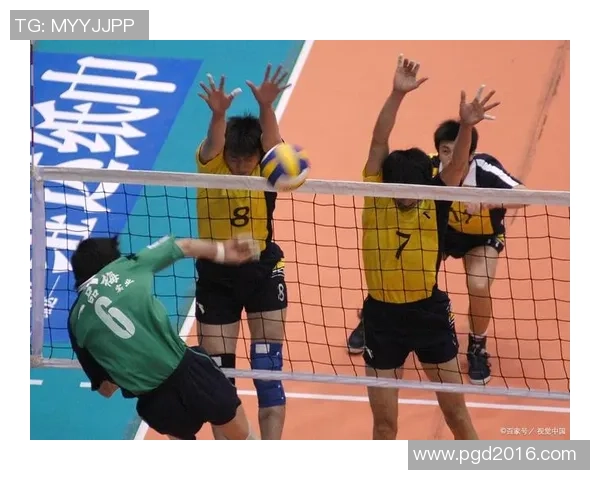 重庆排球队荣登全国排球团队协作排行榜第二名展现出色团队精神与实力