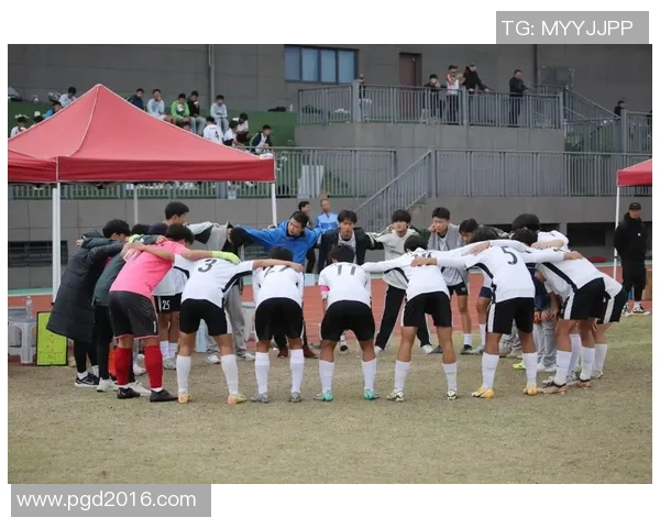 探索xz足球的魅力与激情揭示足球背后的故事与文化