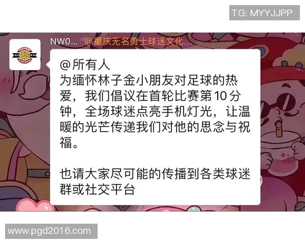 林子说足球:探讨足球背后的故事与文化魅力 林子说足球:探讨足球背后的故事与文化魅力