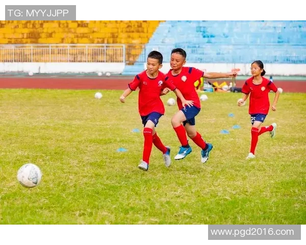 秦皇岛足球热潮兴起青少年踢球活动蓬勃发展助力城市体育文化提升
