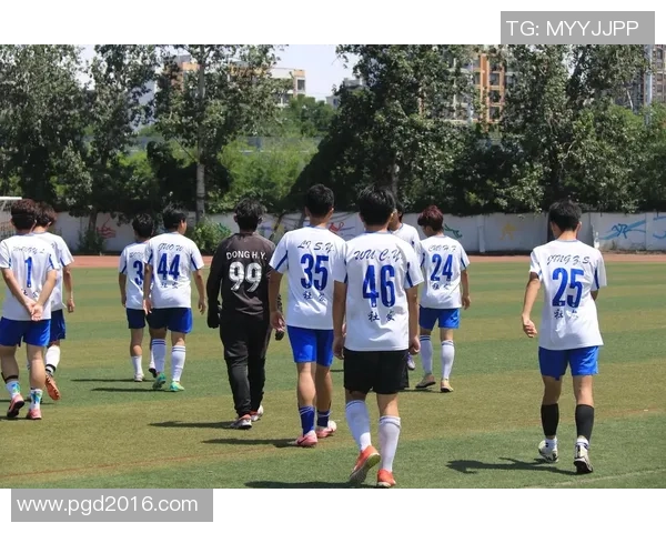 足球上甲的魅力与挑战探索中国足球职业联赛的未来发展之路