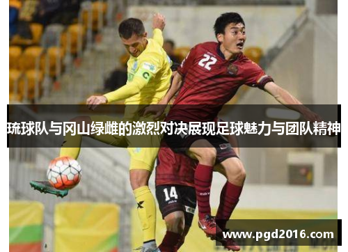 琉球队与冈山绿雌的激烈对决展现足球魅力与团队精神