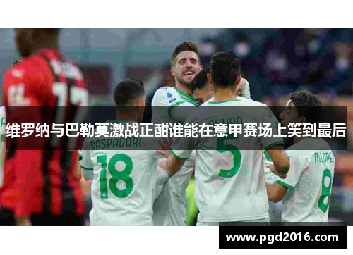 维罗纳与巴勒莫激战正酣谁能在意甲赛场上笑到最后